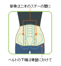 腰用ベルト コルセットの正しいつけ方 椎間板ヘルニア 腰痛対策専門ブログ